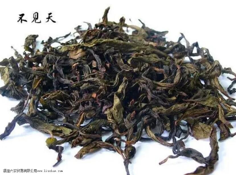 茶叶中的工夫与功夫, 名丛与名枞,到底谁是对的 茶叶中的工夫与功夫, 名丛与名枞,到底谁是对的
