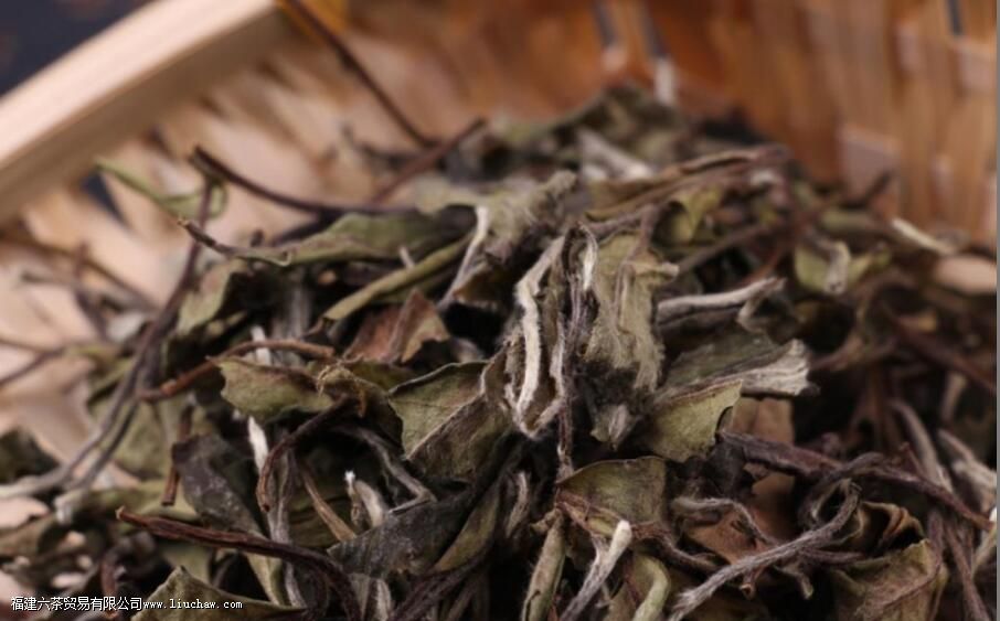 茶园茶与荒山茶,在口感上有什么区别 茶园茶与荒山茶,在口感上有什么区别