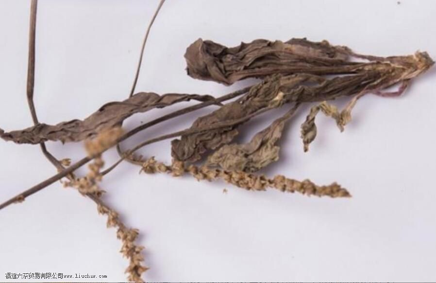 ��ǰ�ݲ���������