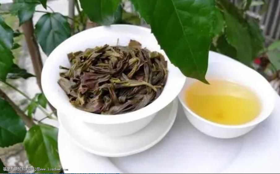 ��Ҷ������ʲô��