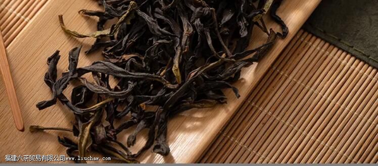 ��Ҷ������ʲô��