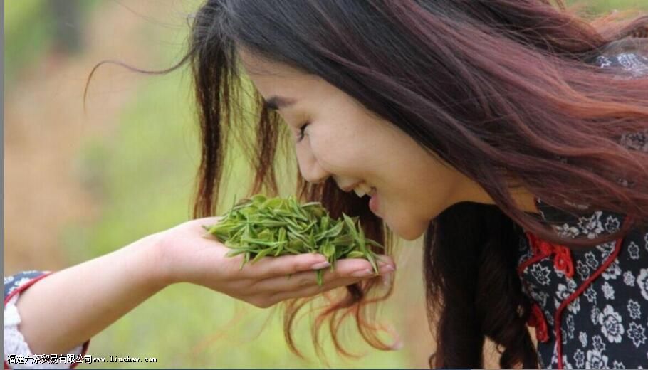 春茶的特点 春茶的特点
