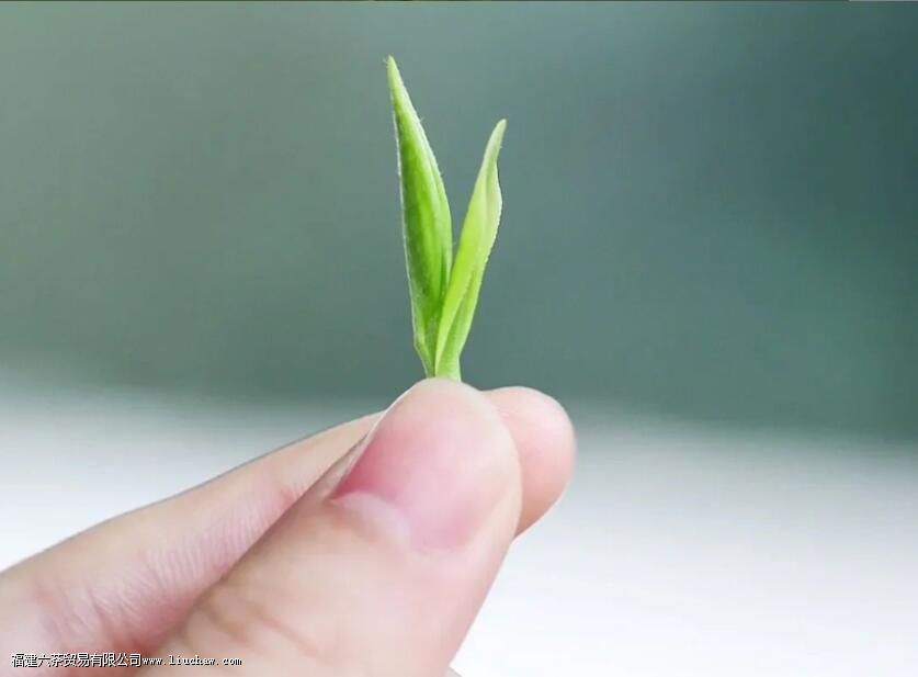 ���߲���������ѿ֪����