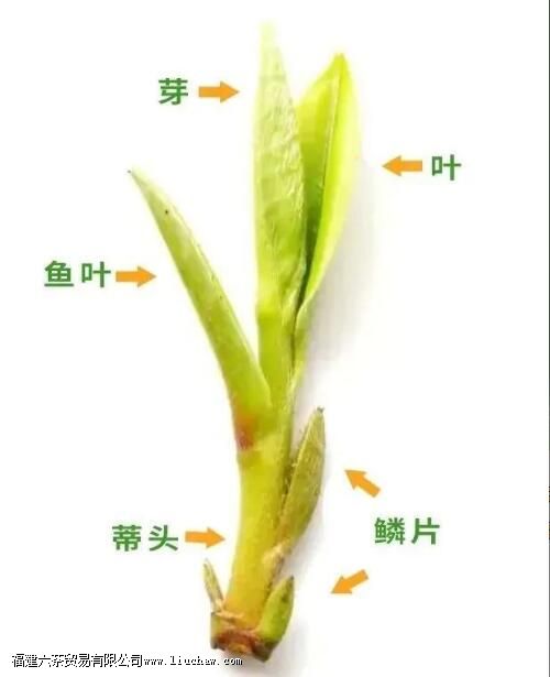 ���߲���������ѿ֪����