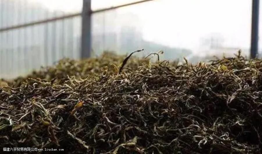 ��5��ά�ȣ�̸�ն��������������