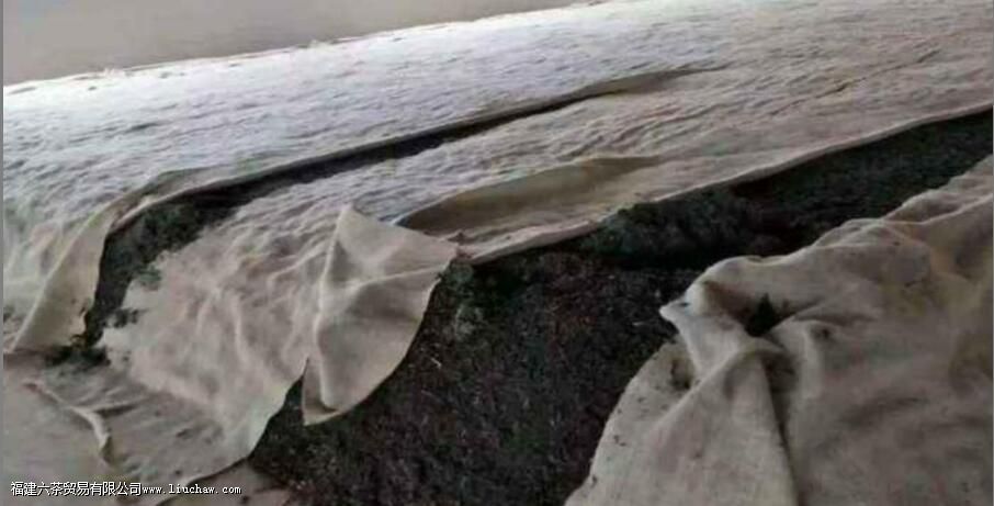 ��5��ά�ȣ�̸�ն��������������