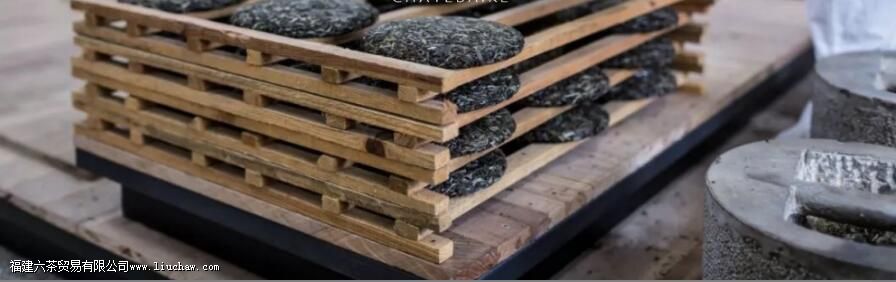 从普洱茶原料与工艺角度分析,普洱茶是否具有存储价值 从普洱茶原料与工艺角度分析,普洱茶是否具有存储价值