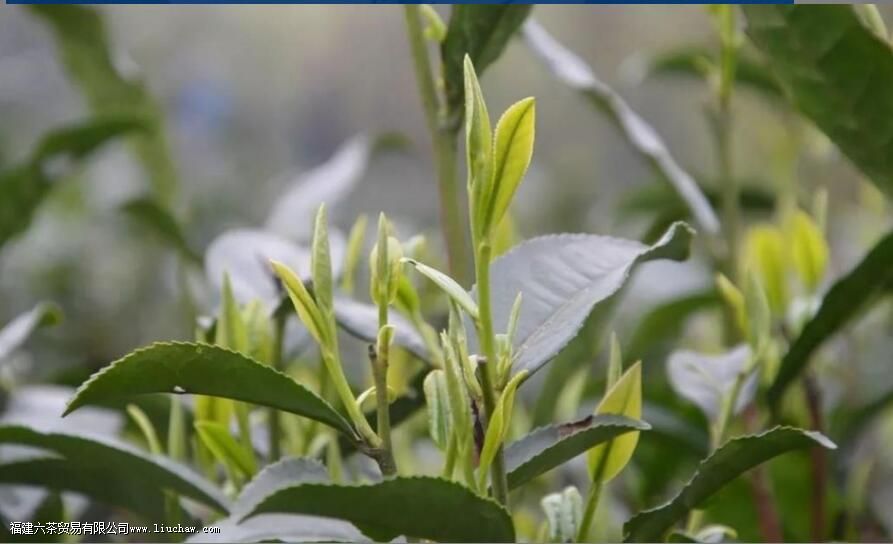 ��ش仪����ʲô��