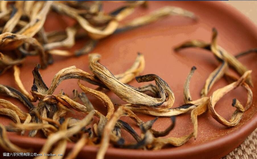 大金芽是什么茶 大金芽是什么茶