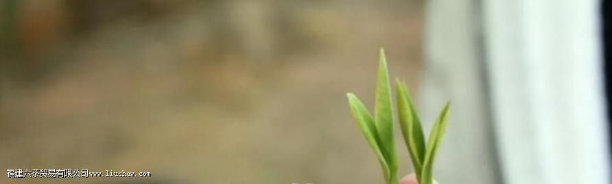 ���˶����ԺȲ裬��ôС������