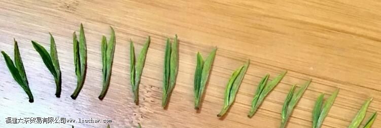 ���˶����ԺȲ裬��ôС������