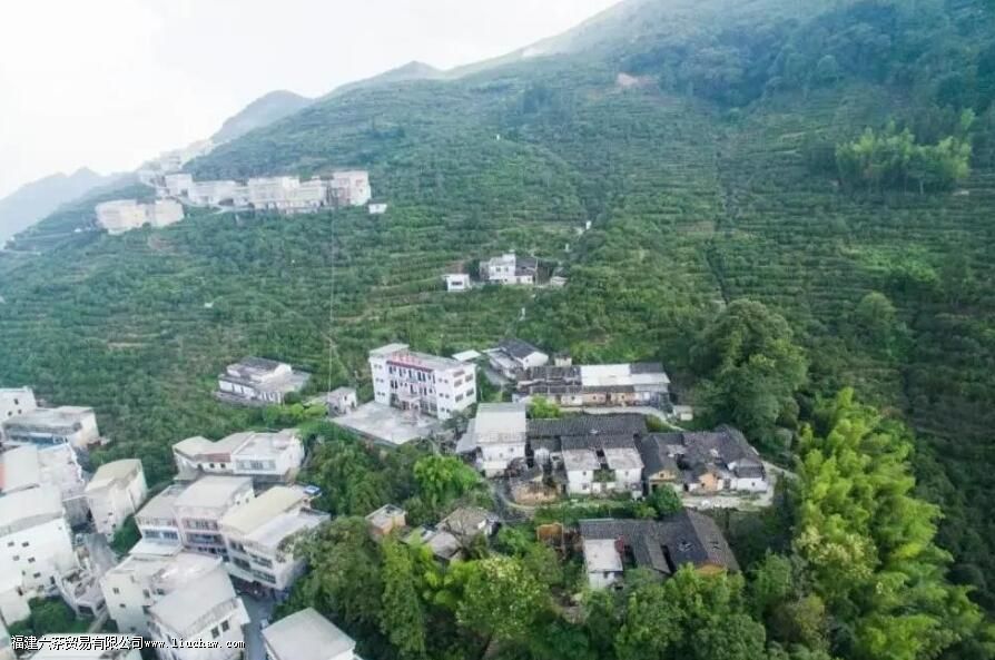 ���Բ��Ǻ�軹���̲�