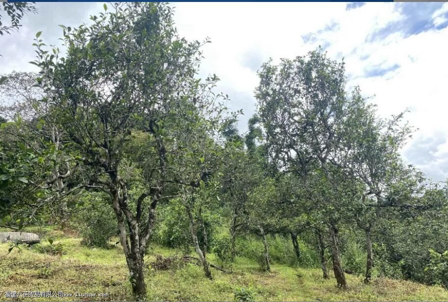 �ؽ���կ�ն�����ص�