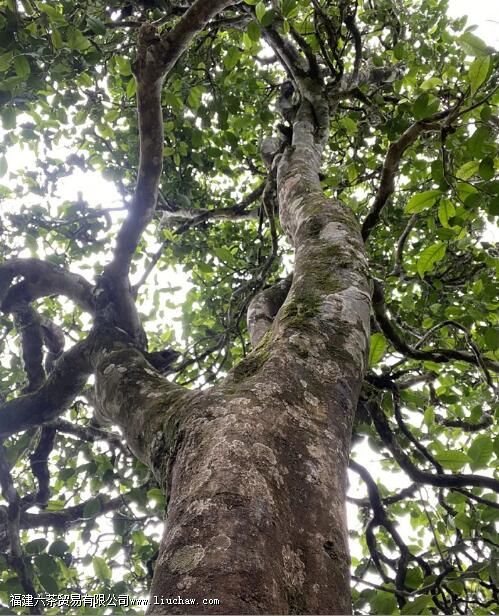 �ؽ���կ�ն�����ص�