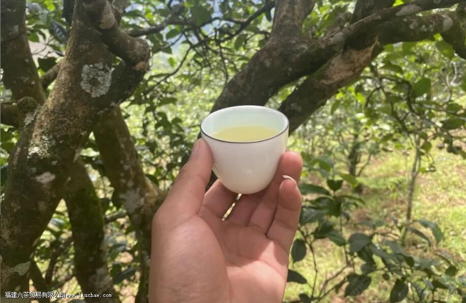 �ؽ���կ�ն�����ص�