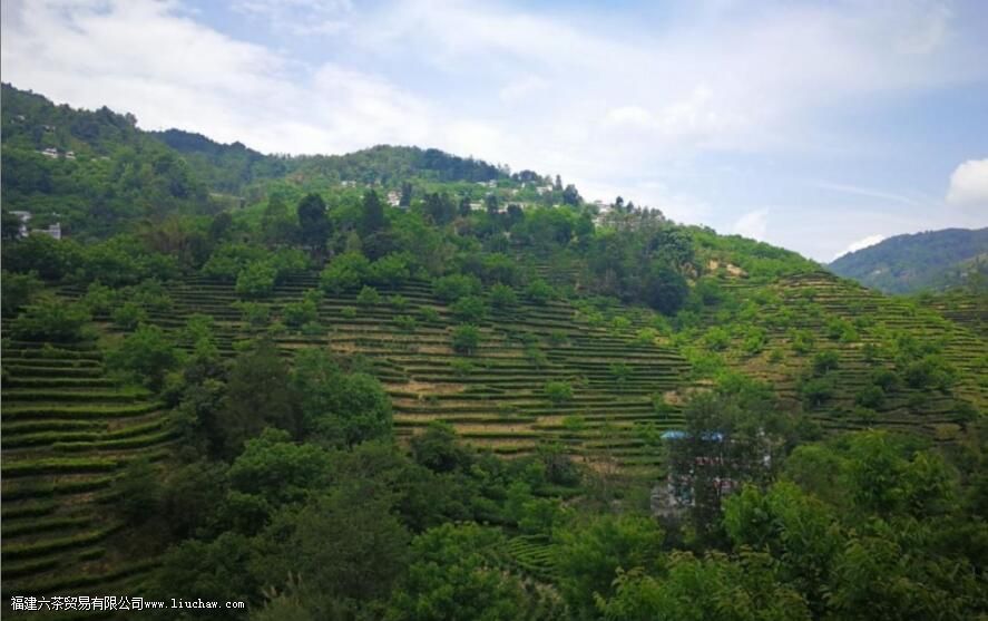 ����Ĳ���