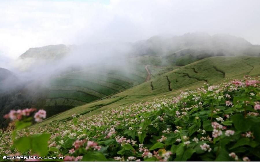 ��������ʲô��