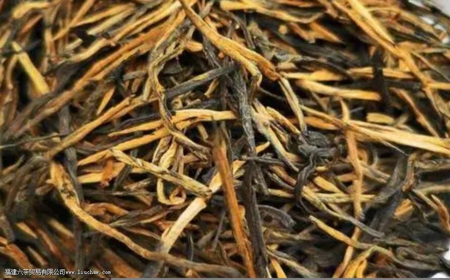 滇红金针是春茶好还是秋茶好 滇红金针是春茶好还是秋茶好