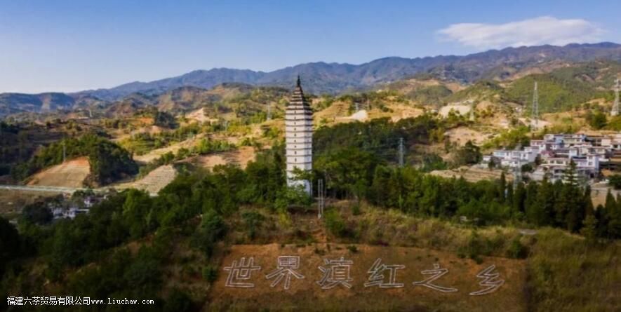 滇红金针是春茶好还是秋茶好 滇红金针是春茶好还是秋茶好