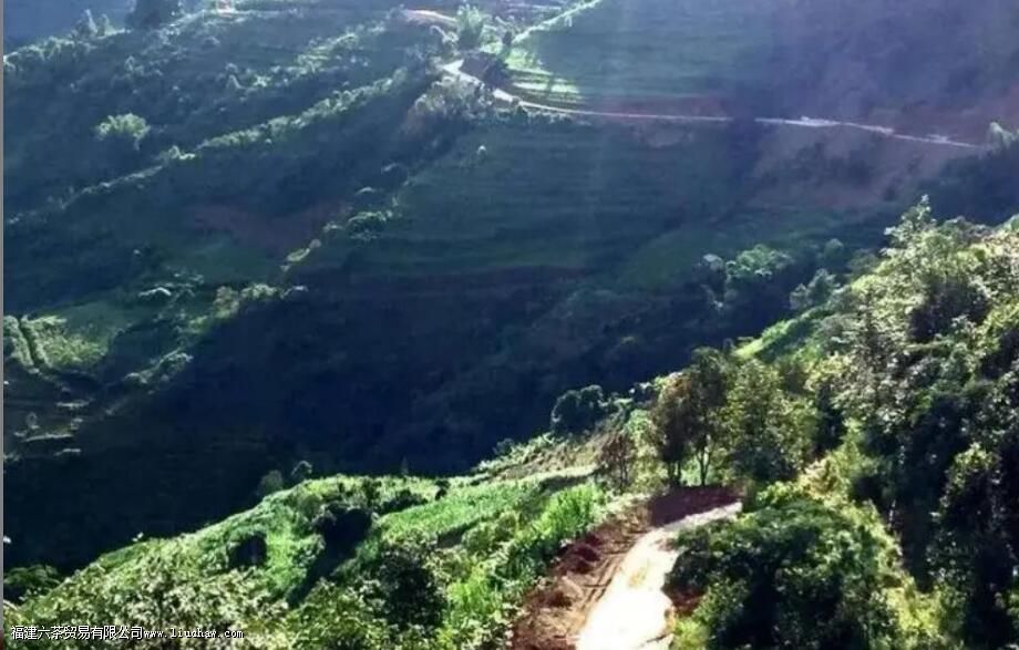 ������ʲô��