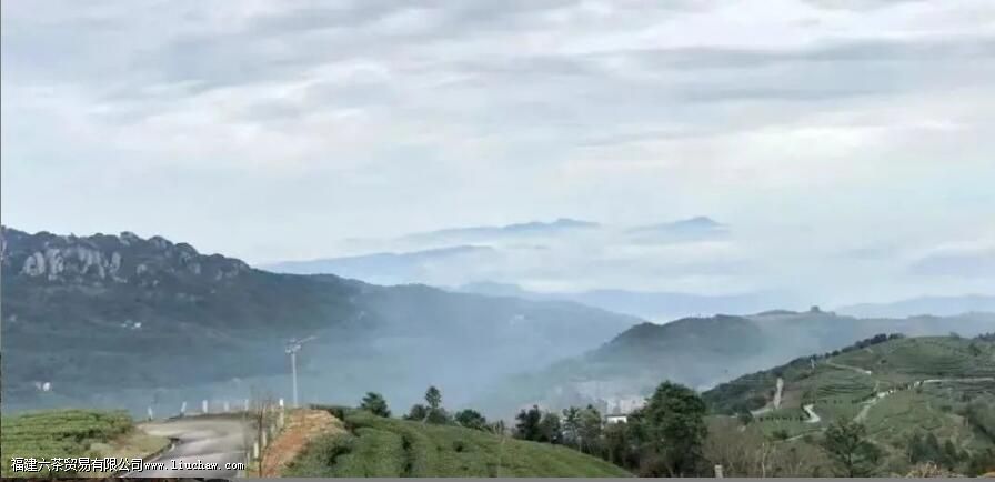 ��ͷ��ײ��ص�