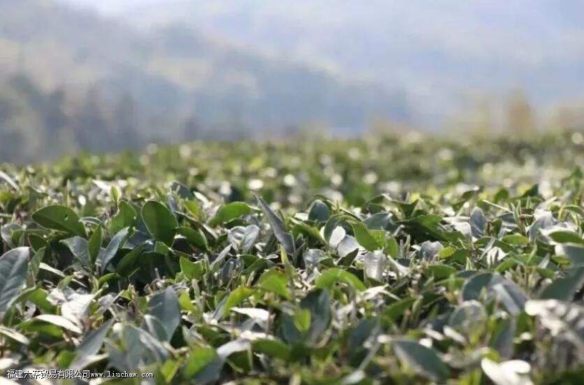 ��ͷ��ײ��ص�