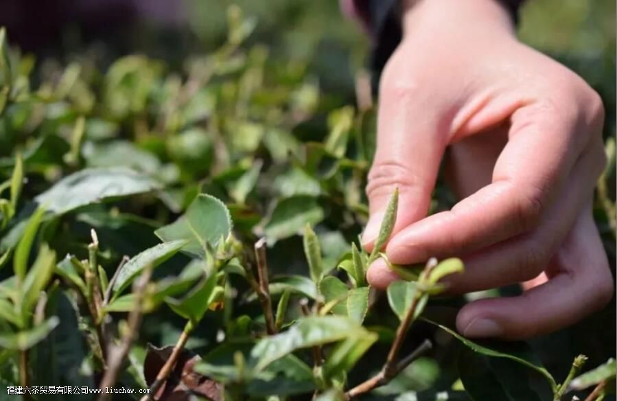 ��ͷ��ײ��ص�