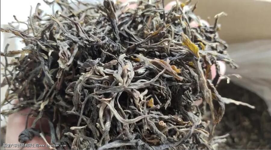 ����ɽ����Щ��Ҷ