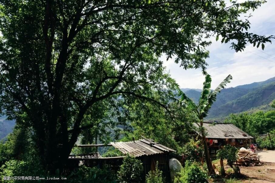 �����ն����Ʒ���ص�