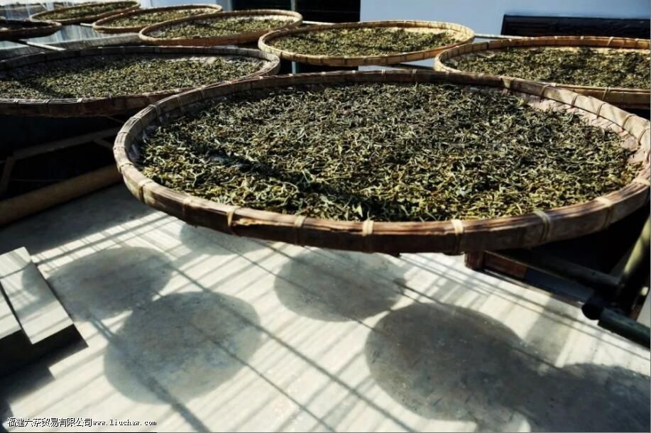 �����ն����Ʒ���ص�