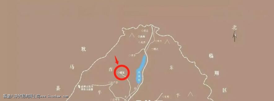 懂过普洱茶的特点 懂过普洱茶的特点