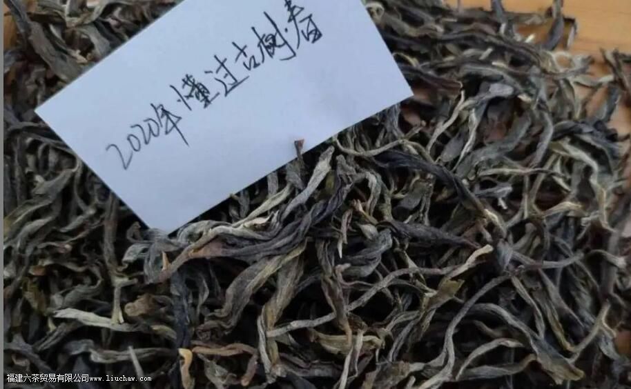 懂过普洱茶的特点 懂过普洱茶的特点
