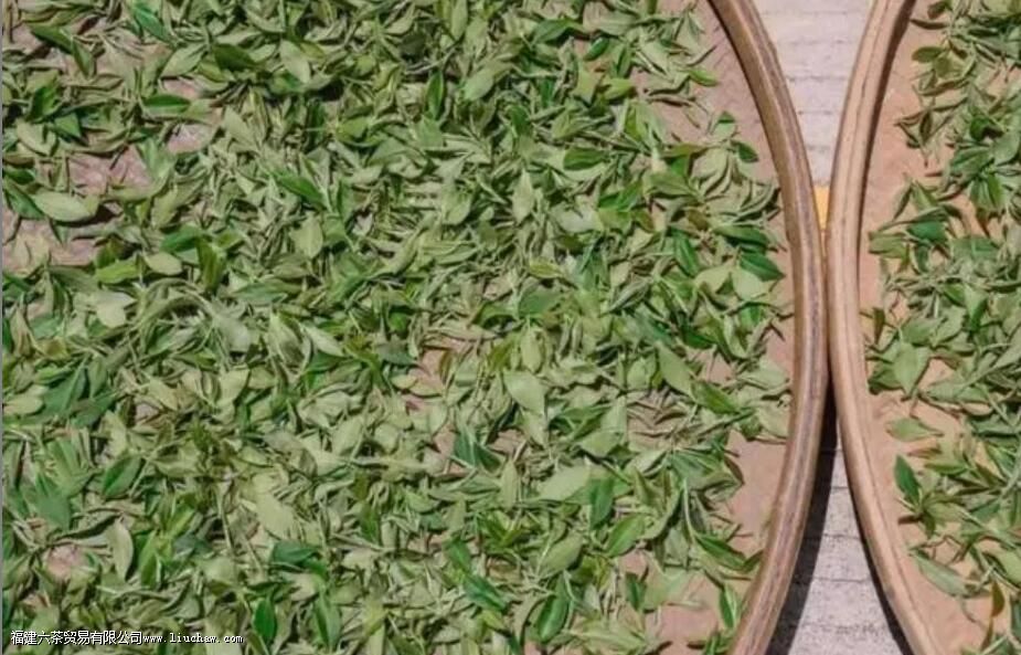 �Լ�Ҷָ����ʲô��˼