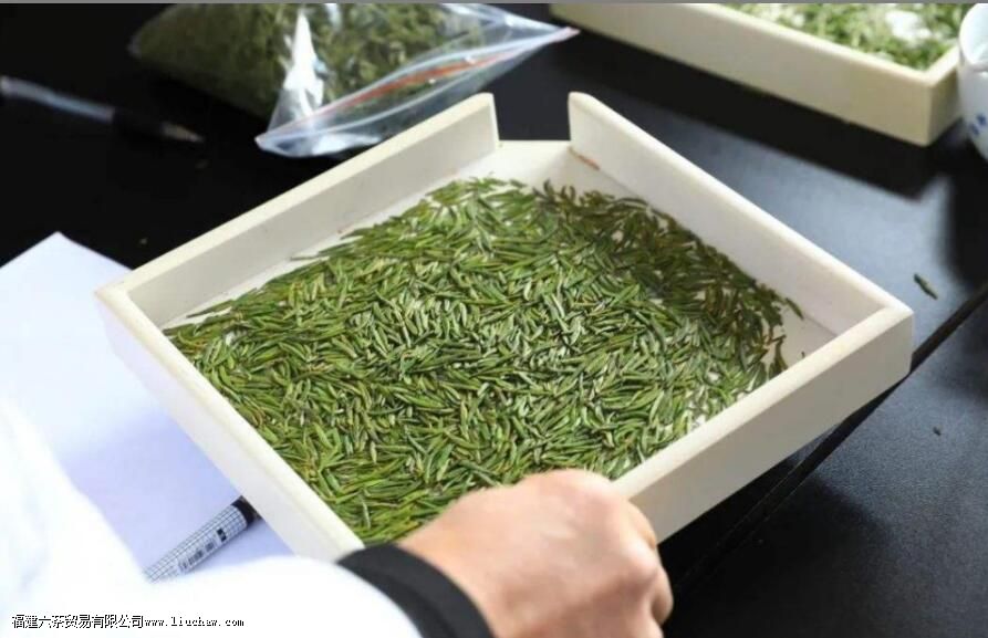 ��üѩѿ����Ҷ��������