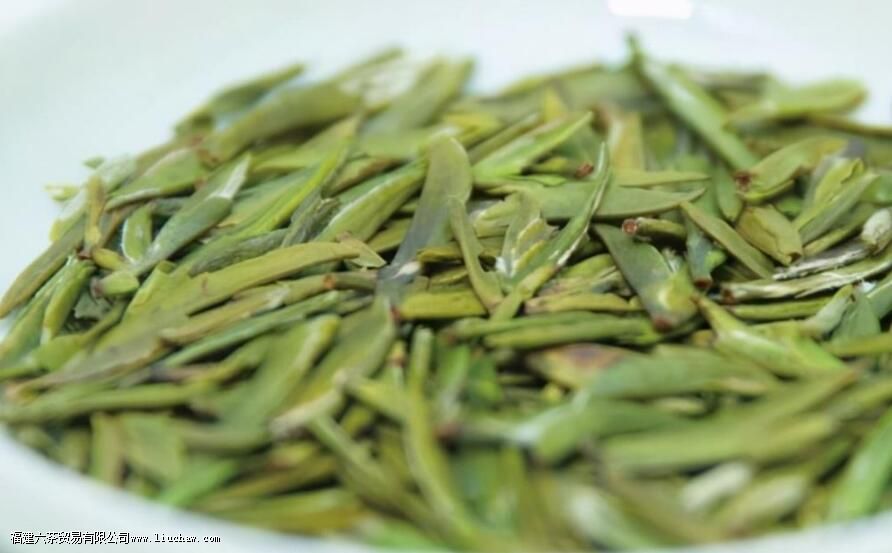 ��üѩѿ����Ҷ��������