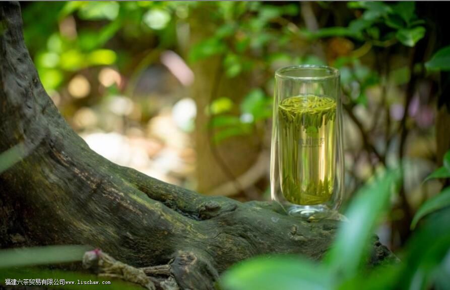 ��üѩѿ����Ҷ��������