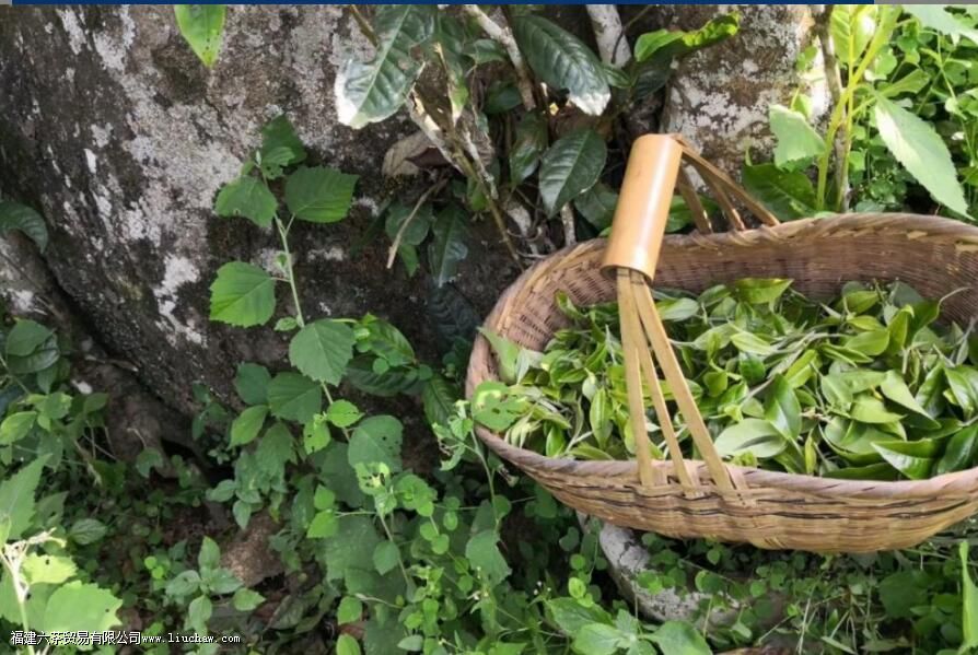 ��ʮ�����յĿڸк�����