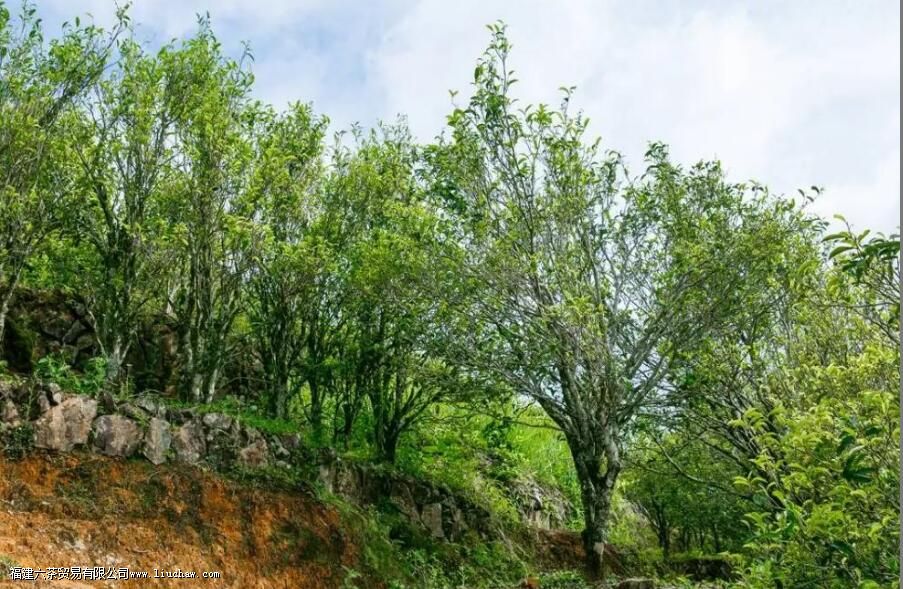 ��˵����������Ѽʺ�������