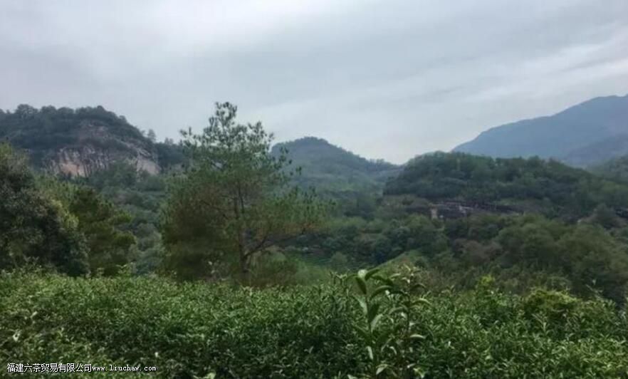 ����Ҳ��������