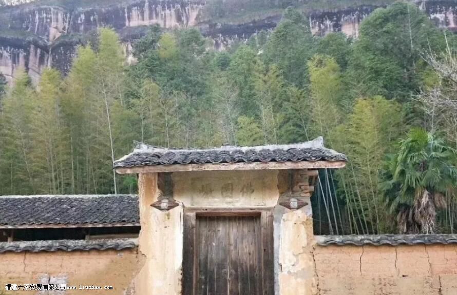 ����Ҳ��������