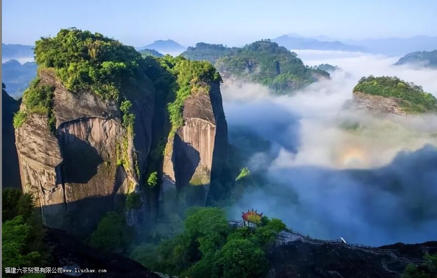 福建乌龙茶如何分类?特点是什么?有哪些代表性产品 福建乌龙茶如何分类?特点是什么?有哪些代表性产品