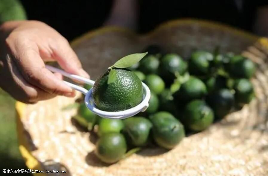 ����110�����ı�׼������ԣ��ݰײ裬Ͷ��5�ˣ� �ݺ�裬Ͷ��5�ˣ� ���Ҳ裬Ͷ��8�ˣ� �����գ�Ͷ