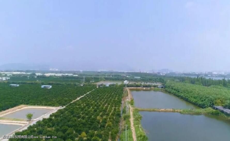 ����110�����ı�׼������ԣ��ݰײ裬Ͷ��5�ˣ� �ݺ�裬Ͷ��5�ˣ� ���Ҳ裬Ͷ��8�ˣ� �����գ�Ͷ