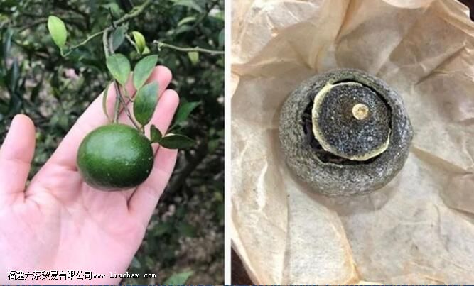 ����110�����ı�׼������ԣ��ݰײ裬Ͷ��5�ˣ� �ݺ�裬Ͷ��5�ˣ� ���Ҳ裬Ͷ��8�ˣ� �����գ�Ͷ