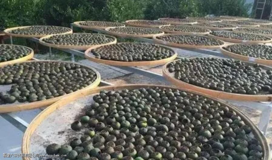 ����110�����ı�׼������ԣ��ݰײ裬Ͷ��5�ˣ� �ݺ�裬Ͷ��5�ˣ� ���Ҳ裬Ͷ��8�ˣ� �����գ�Ͷ