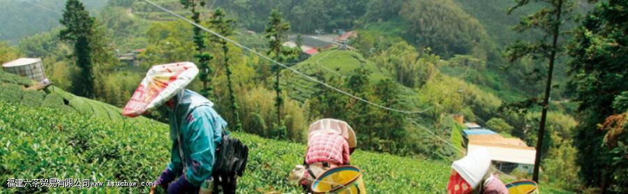 ��ɽ���ƽ�ز������