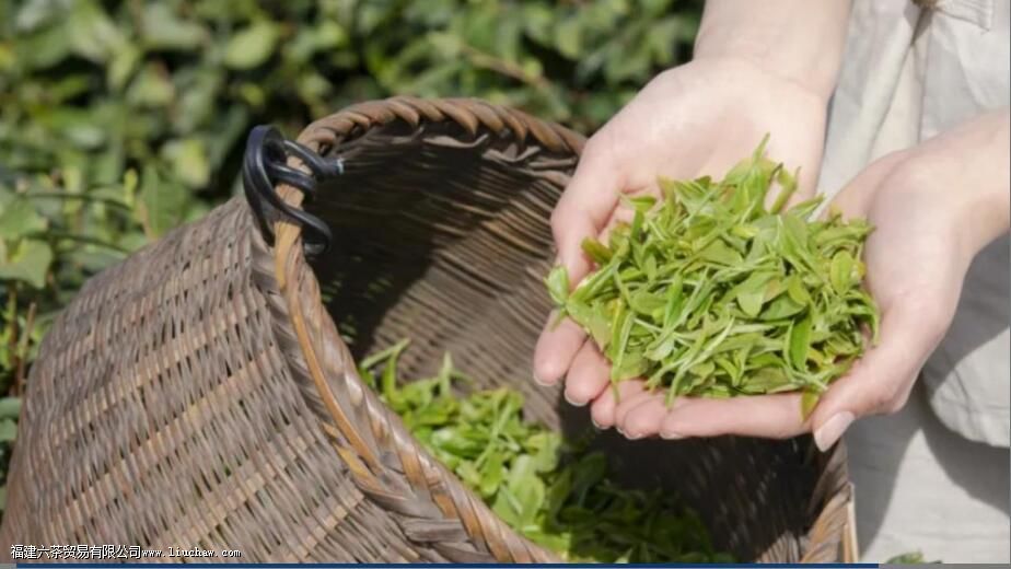 ��ü����ü��ժ��ʱ��