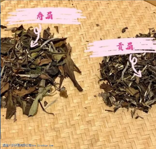 ��ü����ü��ժ��ʱ��