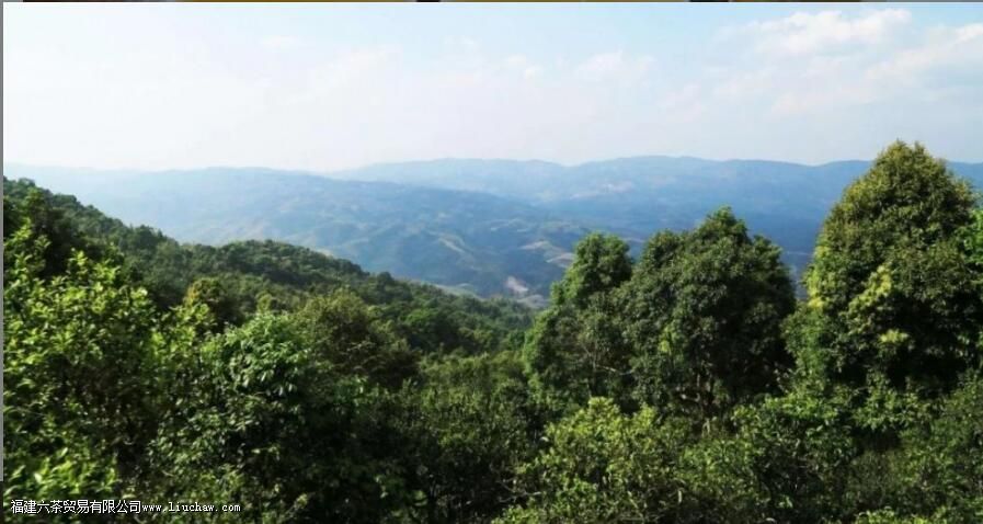 ����կ�ն����Ʒ���ص�