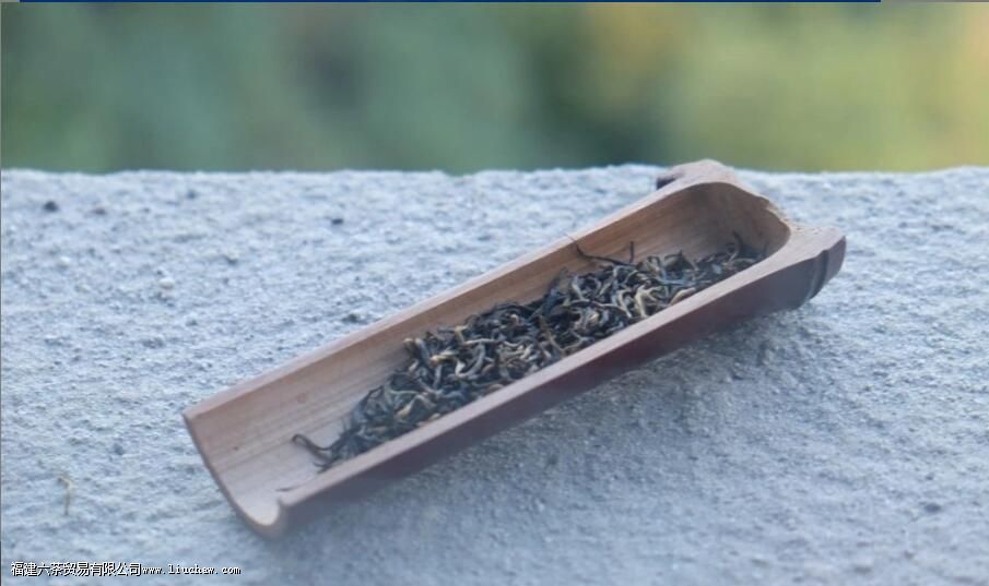 广东都有哪些名茶 广东茶叶大全 广东都有哪些名茶 广东茶叶大全